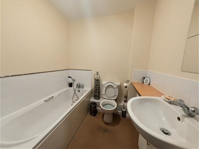 Picture 8